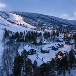 In Out Family Cabin, 12 Beds, 4br, 2 Bath, 2 Wc, Sauna, Wifi, Wash Dryer, Free Parking, Vestlia Prime, Easy Train Or Car, Oslo, Bergen, Walk To