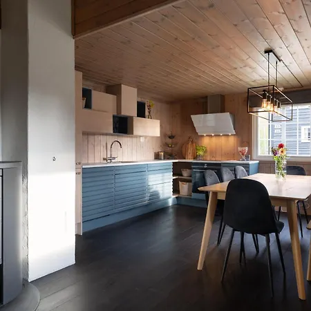 And Bike In Out Family Vestlia, 4br, 2bath, 2wc, Sauna, Free Wifi & Parking, Sommerpark & Beach, Walk To Shops & Train Oslo Bergen *