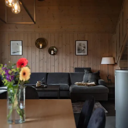 4-bedroom Ski-in Family At Geilolia Hyttetun * Hol (Buskerud)