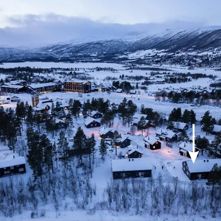 And Bike In Out Family Vestlia, 4br, 2bath, 2wc, Sauna, Free Wifi & Parking, Sommerpark & Beach, Walk To Shops & Train Oslo Bergen * Geilo